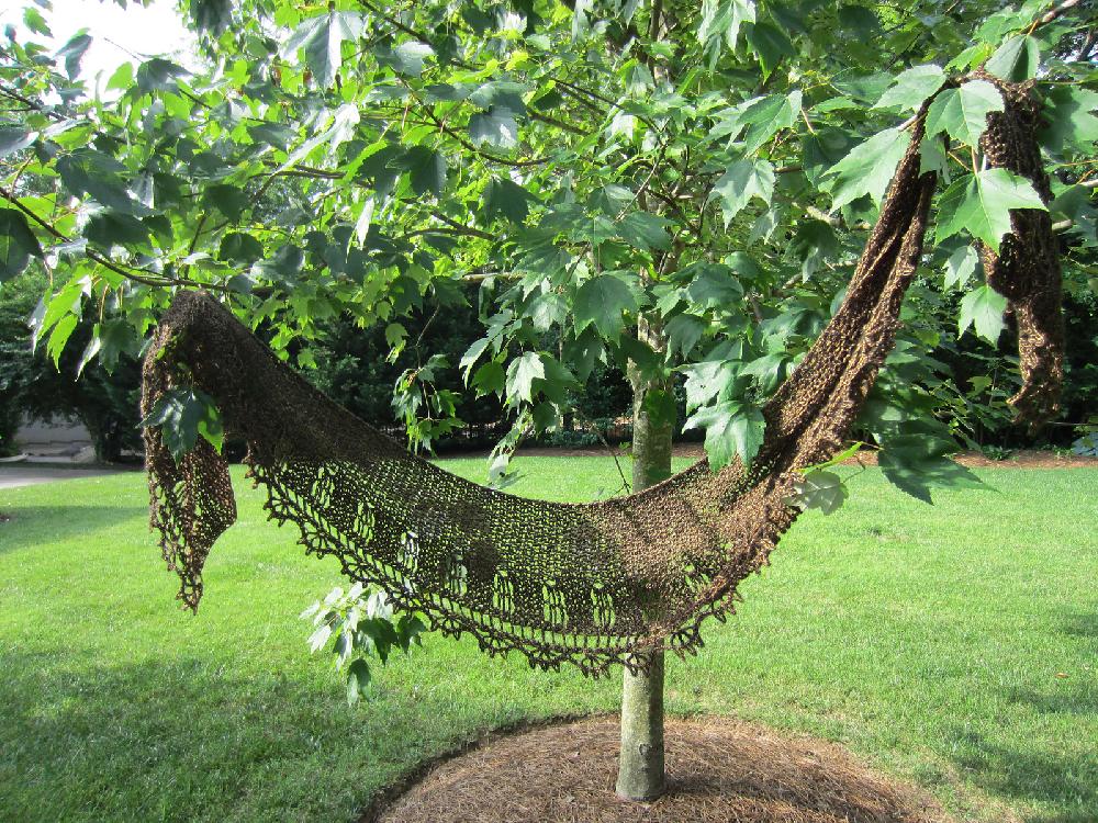 Sara's Wrap