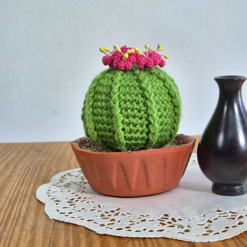 Ball cactus with flower