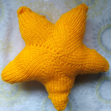 Starfish Baby Toy
