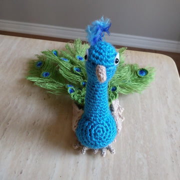Peacock