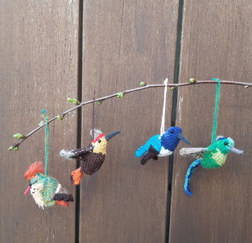 In-house bird watching: hummingbirds