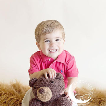 Teddy the Bear