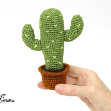 Desert Cactus