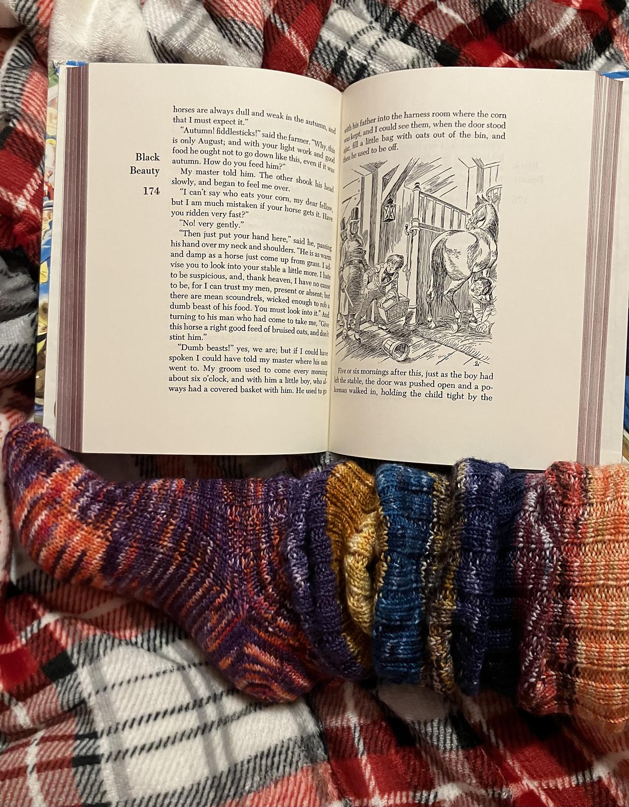 Reading Nook Cozy Advent Socks