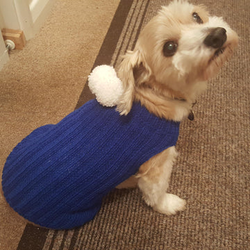 Bailey's Blue Jacket