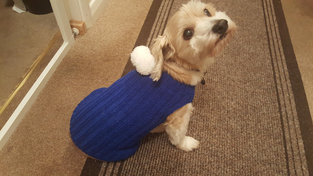 Bailey's Blue Jacket