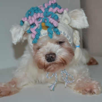 Unicorn dog hood, Crochet Pattern PDF, Size: XS for small dog