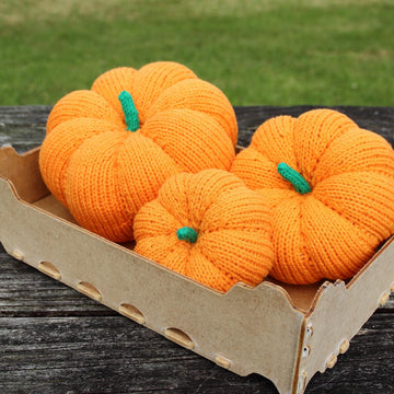 Snuggly Pumpkins