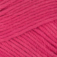 Raspberry (013)