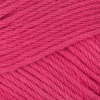 Raspberry (013)