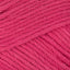 Raspberry (013)