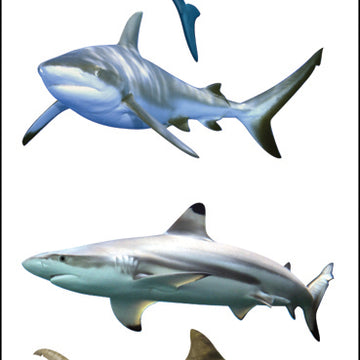 Mrs. Grossman's Stickers - Shark World