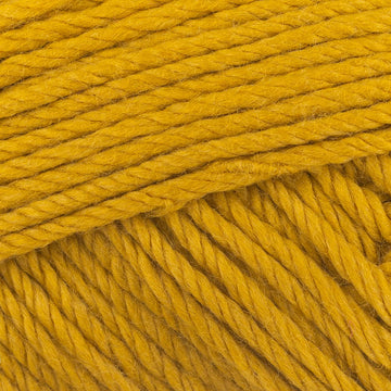 Mustard (17)