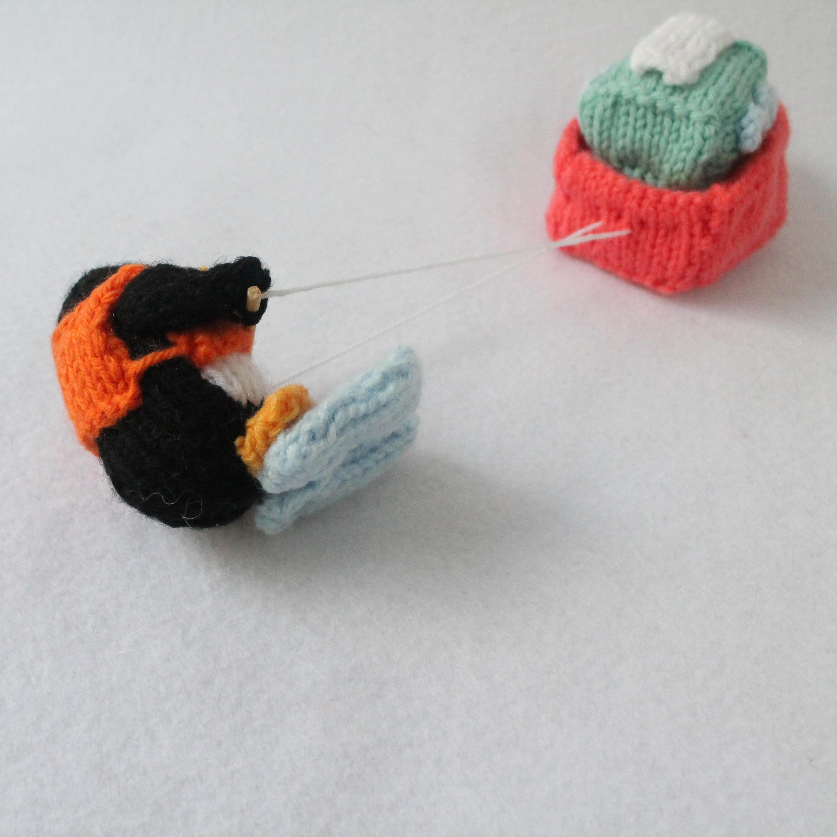 Water Ski Penguin