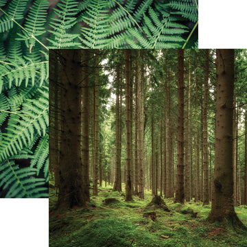 Reminisce Scandinavian Woodland Double-Sided Cardstock 12"X12" 25/Pkg - Lush Nature