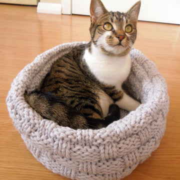 Cat Bed
