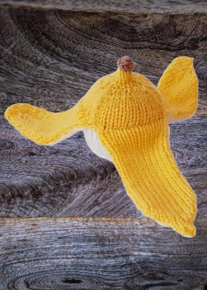 Banana Skin Chocolate Orange Cosy