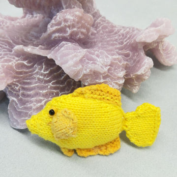 Hawaiian reef fish