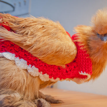Tunisian Crochet Chicken Sweater