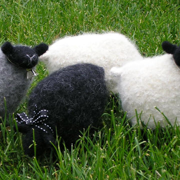 Woolly Sheep Pattern