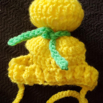Stinker Bell Dog Coat inspired by Tinkerbell