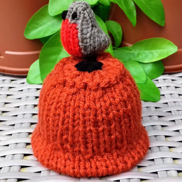 Garden Robin Flowerpot - Chocolate Orange Cover