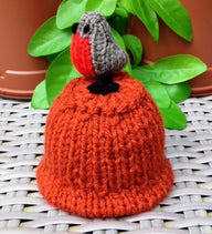 Garden Robin Flowerpot - Chocolate Orange Cover