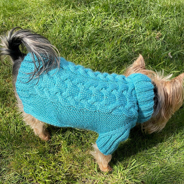 Aqua Dog or Cat Sweater