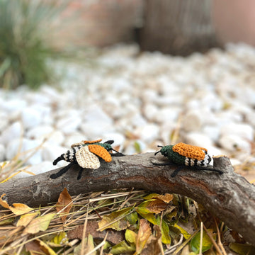 Japanese Beetle