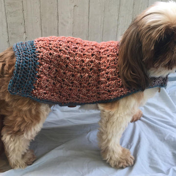Walk The Dog Sweater