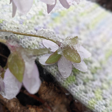 Ephemeral Mitts