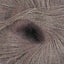 Birch (3416)