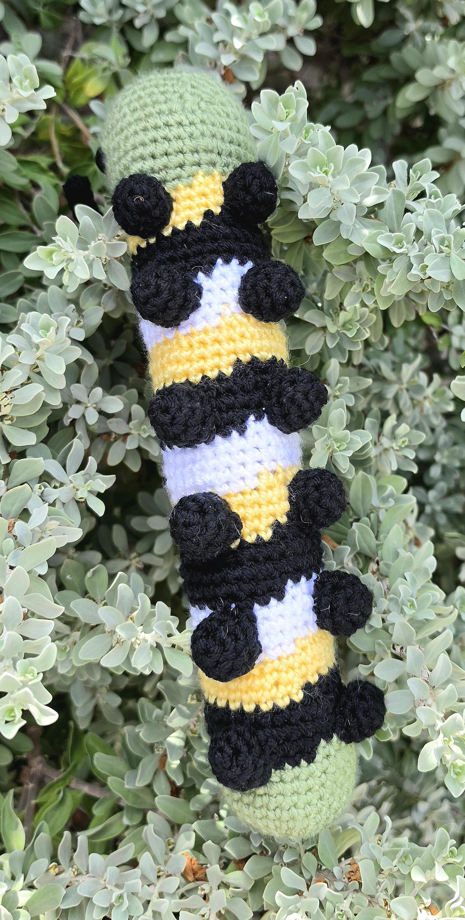 Wally the Wandering Caterpillar