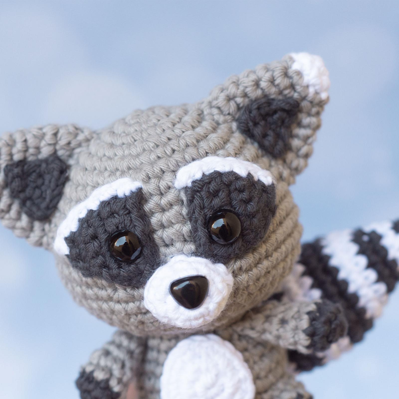 Baby Racoon