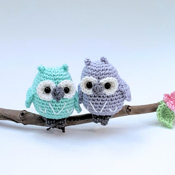Owls couple on a branch