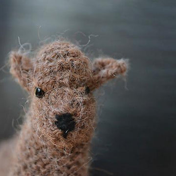 Alpaca