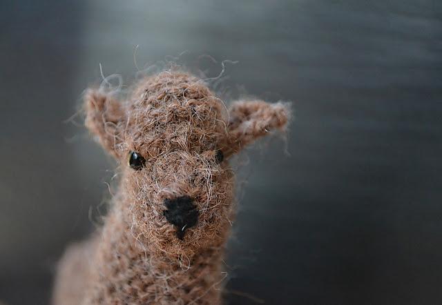 Alpaca