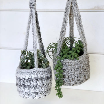 The Lemon Peel Planter 056