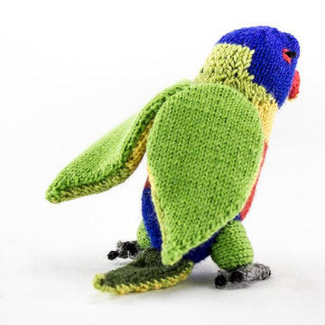 Rainbow Lorikeet