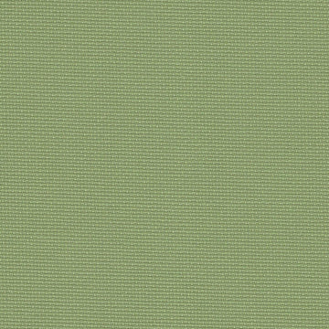 Olive (6016)