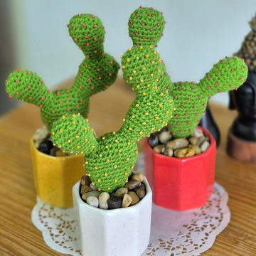 Prickly pear cactus