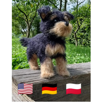 Dog Yorkshire Terrier