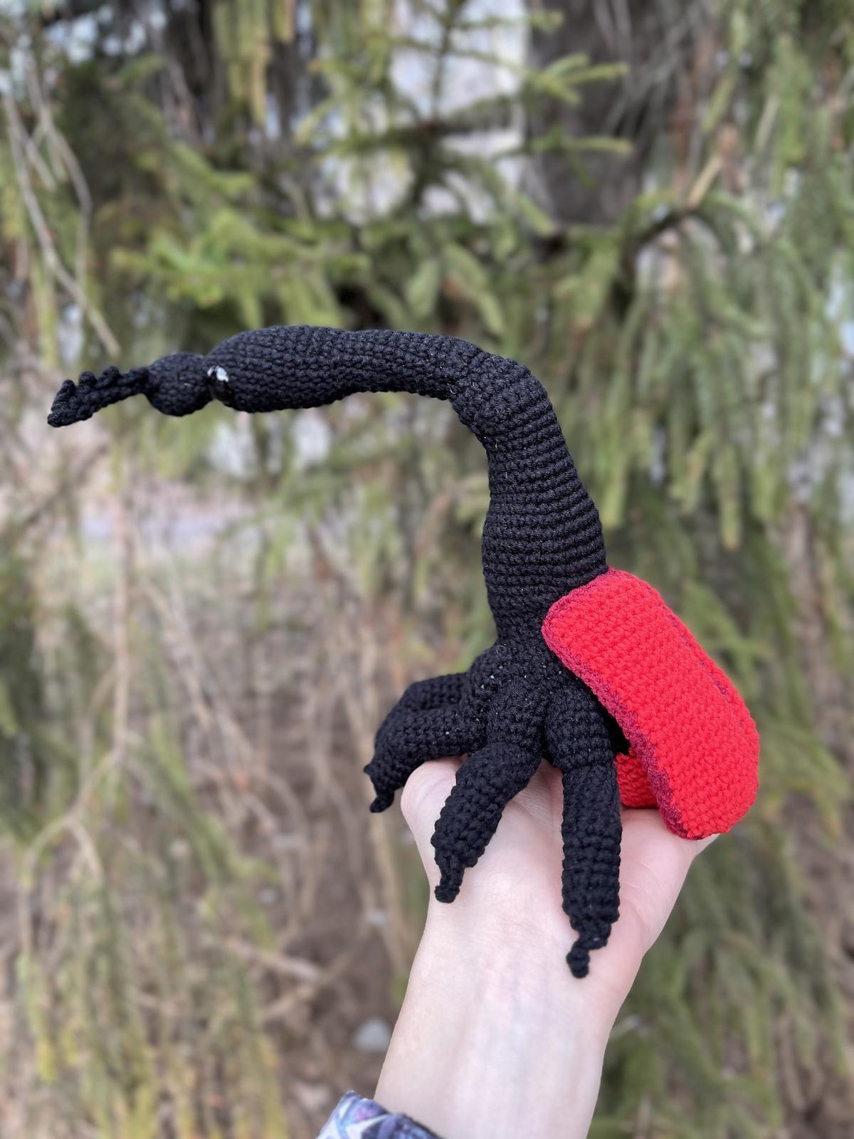 Giraffe Weevil