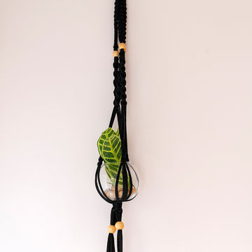 Hoooked Zpagetti Macrame Hanging Basket