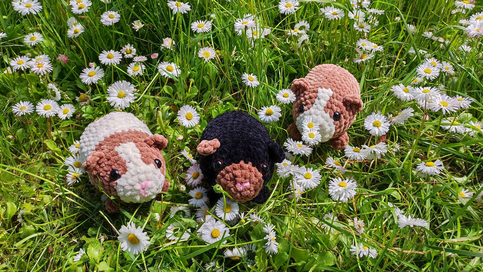 Plush Guinea Pig