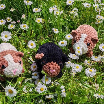 Plush Guinea Pig