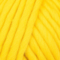 Big Bird Yellow (13)