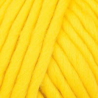 Big Bird Yellow (13)