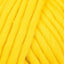 Big Bird Yellow (13)
