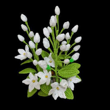 Jasmine flowers